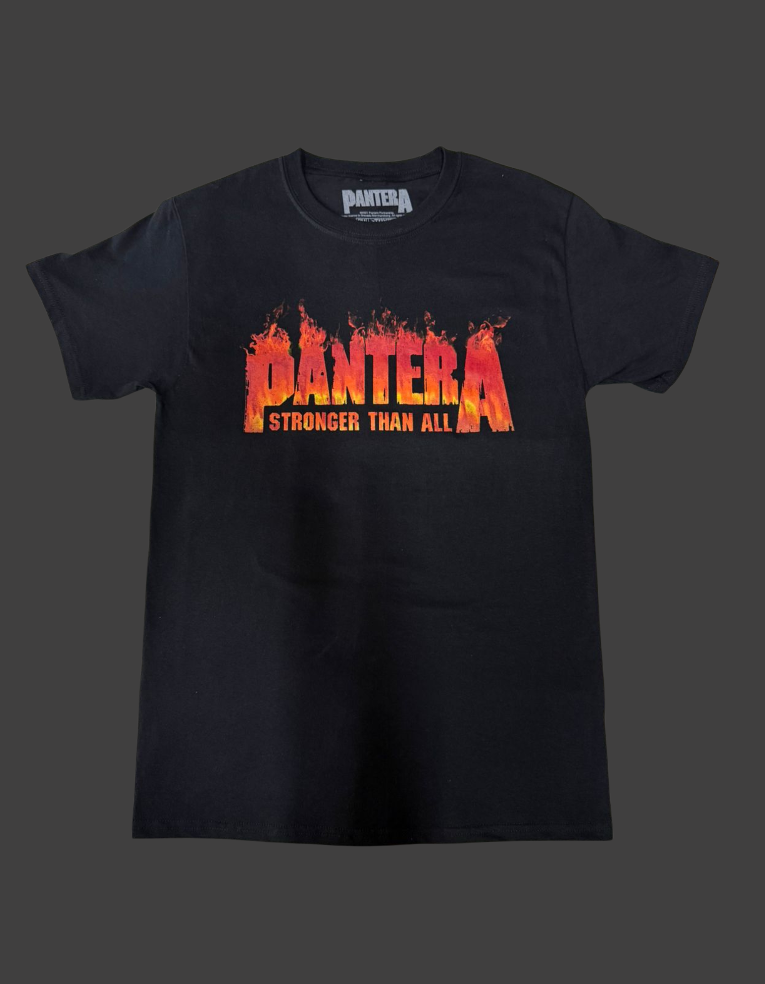 Playera Pantera "Stronger Than All"